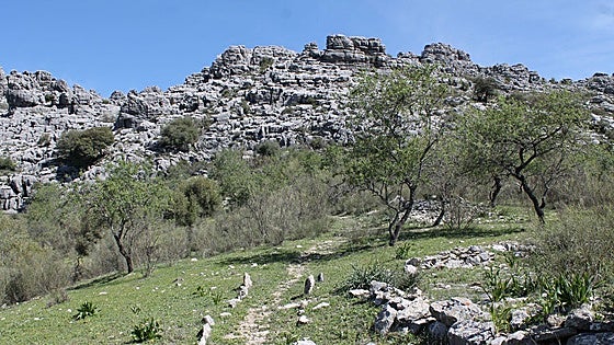 Las Eras trail in the Serranía de Ronda no longer fully accessible
