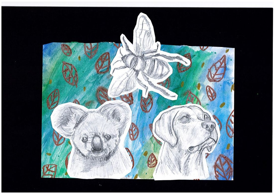 Maya, age 10, Swans Primary School