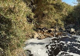 Image of Arroyo Enmedio stream in Estepona related to the report filed by environmentalists.