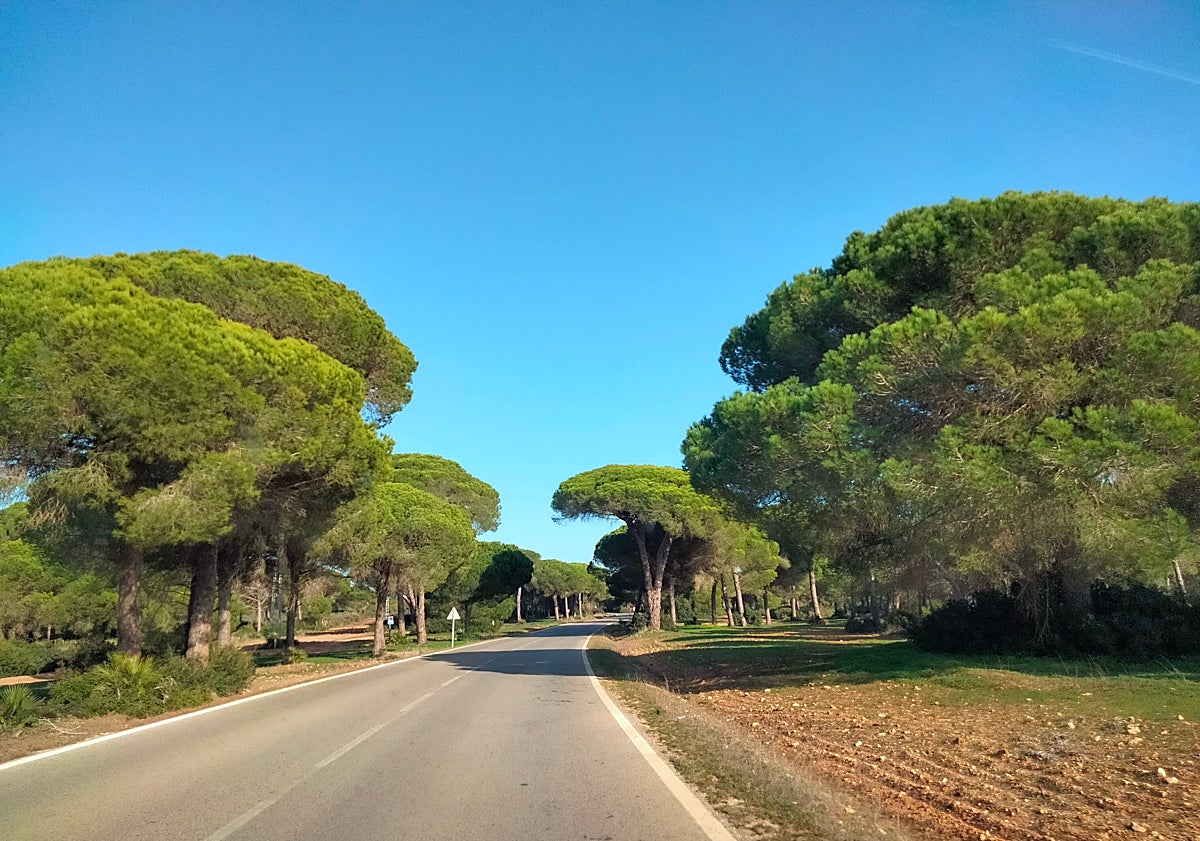 Imagen principal - In Chipiona.