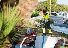 Maintenance work in a green area of San Pedro.