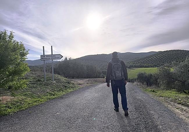 Place where you leave the Mozarabic Way to follow a path through olive trees.