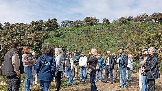 Local foreign community learns about the Axarquía's subtropical fruit sector