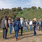 The group at the organic avocado plantation