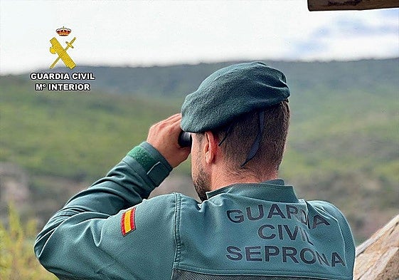 A Seprona officer on patrol in the Spanish countryside.
