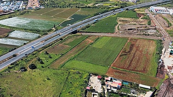 Tropical fruit growers call on authorities to speed up Axarquía desalination plant