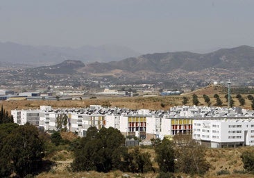 Two of the plots are located in the Soliva neighbourhood in Malaga.