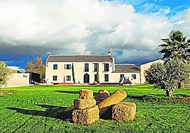 The olive oil farm in Bobadilla, Malaga province.