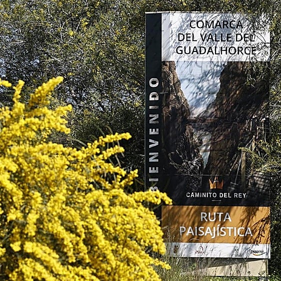 Winter storms create spectacular blossom display in Malaga