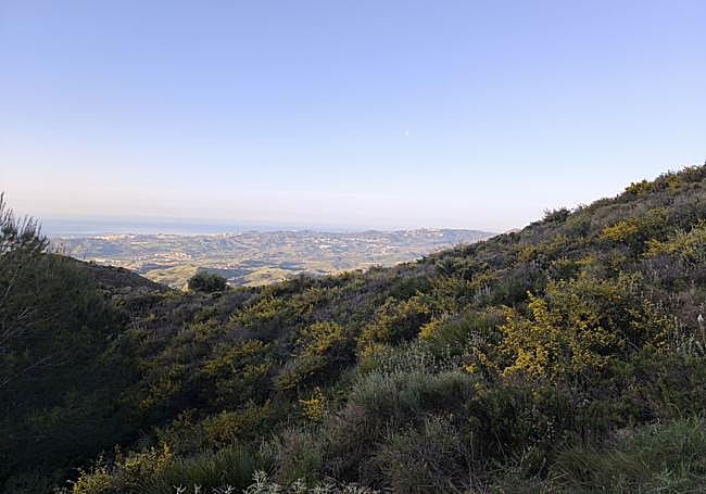 In addition to the pine forest, Mediterranean scrub abounds.
