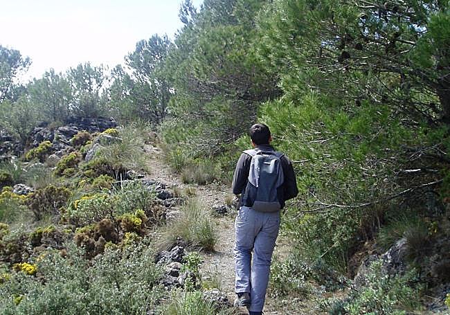 After the wide lane, turn off onto a narrow path.