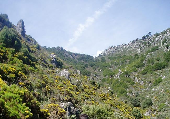 The first half of the route is the one with the steepest gradient.