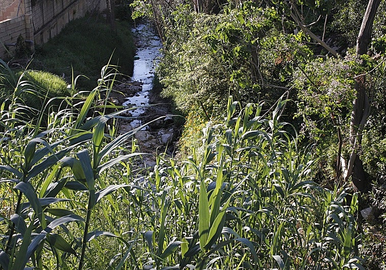 Torremolinos and Benalmádena agree to take it in turns to clear streambeds of reeds on their boundaries