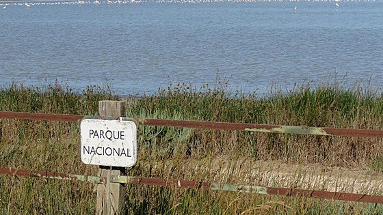 Spain's National High Court accepts WWF's appeal against the demarcation of Doñana's marshlands
