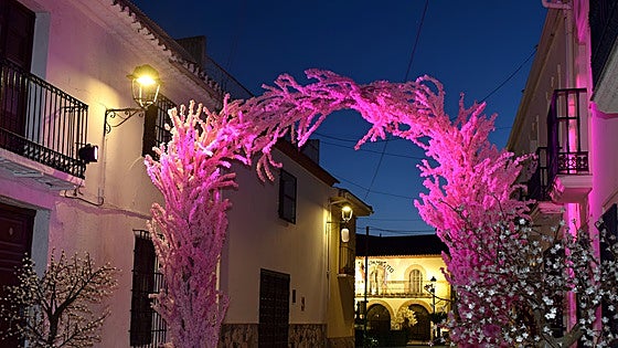 The Axarquía village that celebrates Japanese culture and cherry blossom