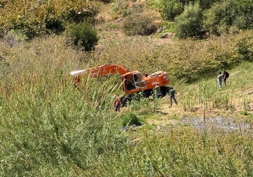 Heavy machinery, last Wednesday in the Vega de Maro area.