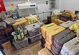 Police smash drug-trafficking gang operating in Granada and Almeria provinces