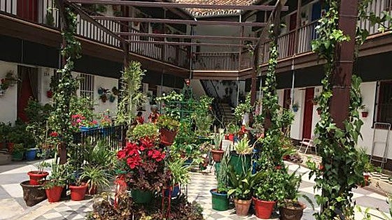 Malaga to promote the popular traditions of its historic neighbourhoods