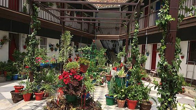 Malaga to promote the popular traditions of its historic neighbourhoods