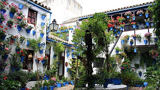 The public are invited to explore vibrant displays of aromatic flowers, cooling fountains, ceramics and traditional Andalusian architecture.