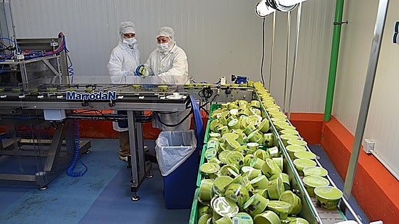 Vélez-Málaga based subtropical company now hiring