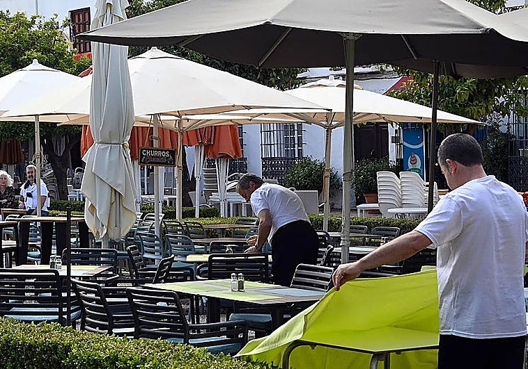 Marbella's unemployment total falls by more than 10% in the last year