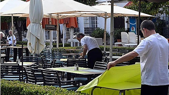 Marbella's unemployment total falls by more than 10% in the last year