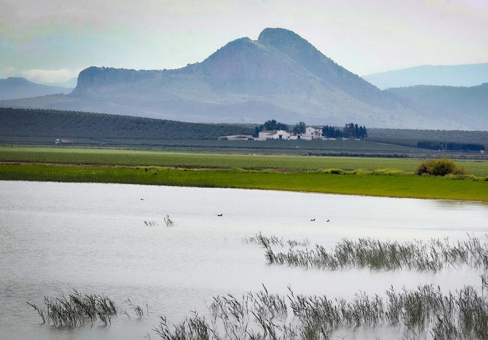 View of the lagoon.
