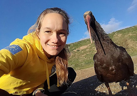 The northern bald ibis bird Ingrid with her adoptive mother Helena Wehner in the town of Cártama.