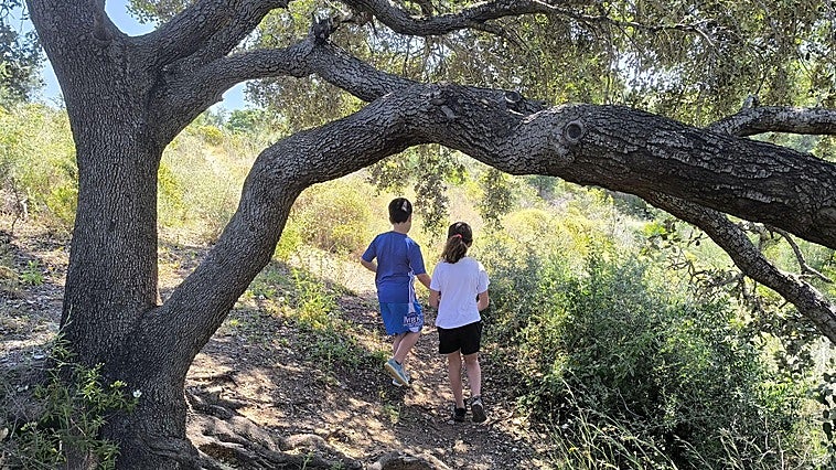 A circular trail ideal for the whole family, close to the beach