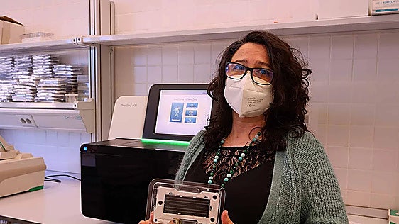 Malaga University researchers design ambitious antiviral strategy against Covid-19