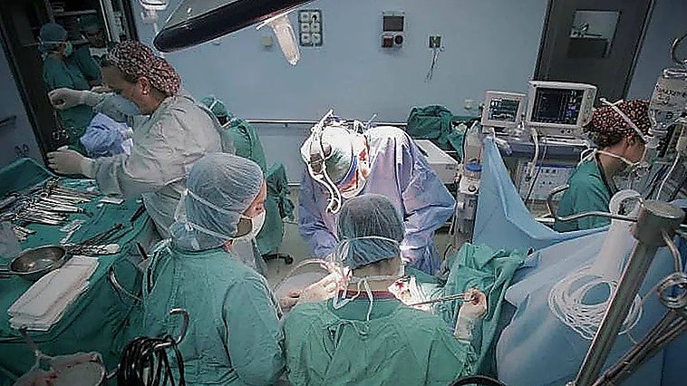 Spain breaks another record: 39 organ donors and 75 transplants in just 48 hours