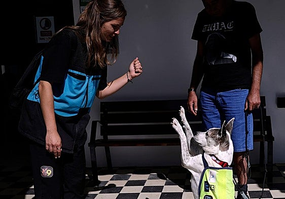 Paula Núñez, one of the trainers of K9 Málaga, in one of the activities at the Mental Health Unit.