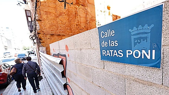 Malaga councillors debate over rats proliferation control
