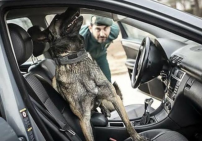 Pompa checking out a vehicle.