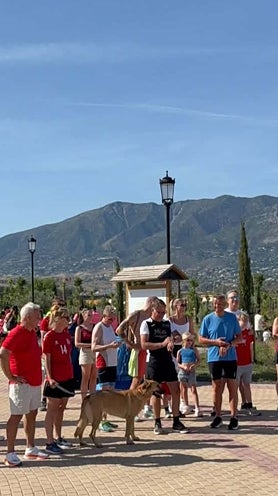 Imagen secundaria 2 - Fuengirola and Torre del Mar runs