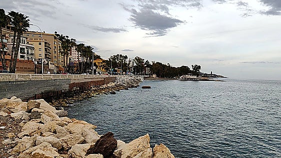 Spain's coastal authority to relocate 30 protected limpet snails to create Baños del Carmen beach