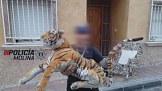 A Molina de Segura police officer holding the 'tiger'.