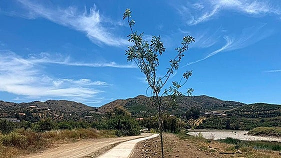 Riverside revamp for Álora town with a new footpath on the banks of the Guadalhorce river