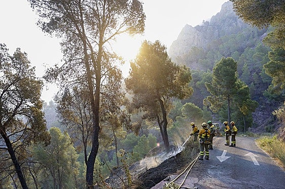 Spain wildfire: Army called in as 65-foot flames force evacuations in Murcia