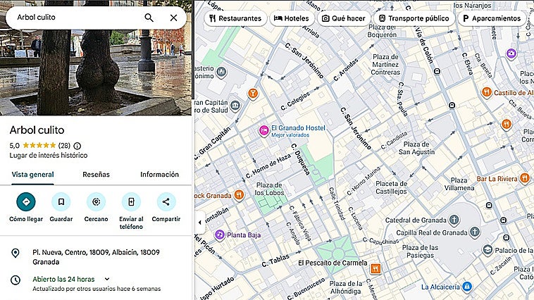 Granada's 'little bum' tree gets five-star rating on Google Maps