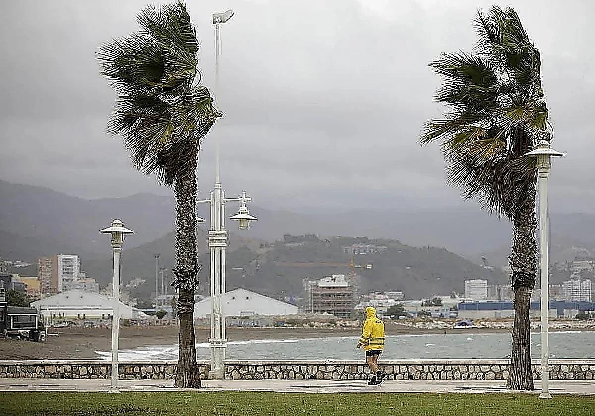 Malaga province under yellow warning for strong winds on Friday