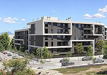 Malaga social housing application process penalises single people
