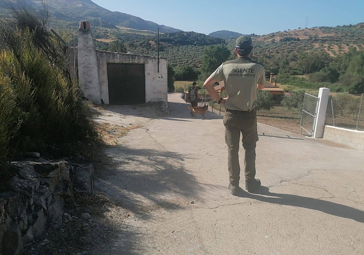 Environmental officers drafted in to search for poison following the death of several pets in El Burgo