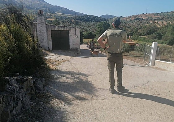 Environmental officers drafted in to search for poison following the death of several pets in El Burgo
