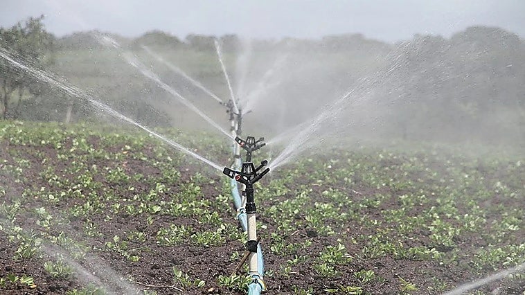 Malaga to reuse all resources from wastewater treatment plant to combat drought