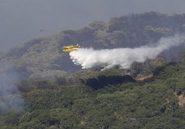 Uncontrollable fire: what is driving Spain’s wildfire disasters?