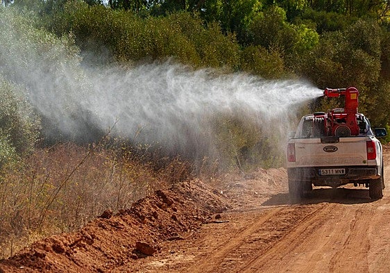 Andalucía has recorded its first death of the year from West Nile virus, bringing the total number of cases to 17