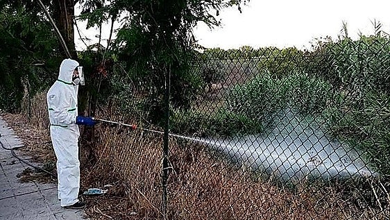 West Nile virus in Andalucía: three new cases bring total number of infected people to 29