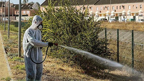 Andalusian health authorities urge people to avoid mosquito bites after detecting new West Nile virus cases